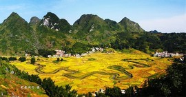 世界寿乡―巴马探秘主播照片
