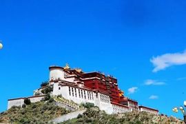 1221IL主播照片