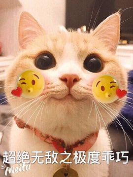 ベ丽ღ小野马主播照片