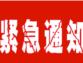 雷诺/主播照片