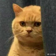 豪亚1海报