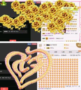 海鸽晚上播主播照片