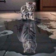 A一阵风