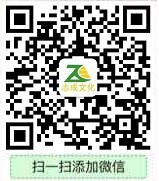 ◆◇の沫沫守候﹎主播照片