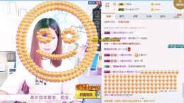 一只雁~主播照片