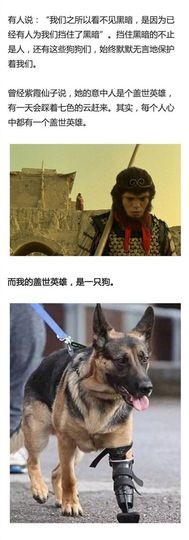 ～～～～耶主播照片