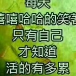 ～～梦～～