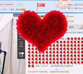 丫头唱歌给你听主播照片