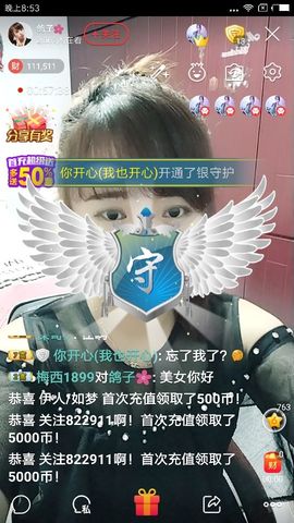 海鸽晚上见主播照片