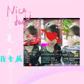 海鸽晚上见主播照片