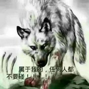 想你的小辉海报