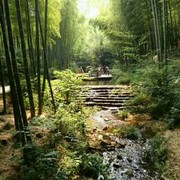 清晨的阳光v4