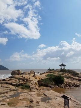来无影💋去无踪主播照片