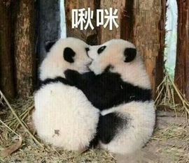 小美女儿!主播照片