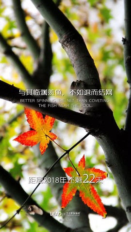 流水@歌舞青春主播照片