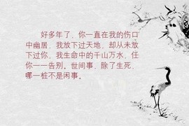 ◆◇の沫沫守候﹎主播照片