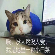 琳儿zv的头像