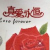 真爱永恒mx