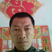 叶凤奎的头像