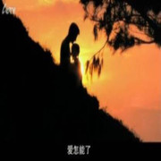 傳风.
