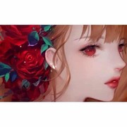 红红wp海报