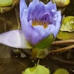 就霸道了。。。。的头像