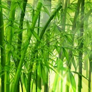 阿明3e5的头像