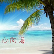 向海