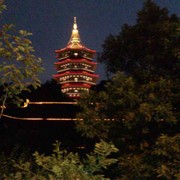 蔓依乐乐的头像