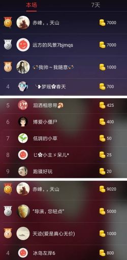 海鸽晚上见主播照片