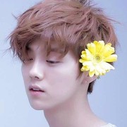 丁宝胜的头像