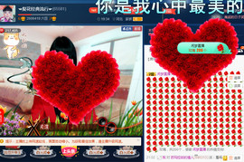梨花不再期待主播照片