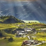紫色星层海报