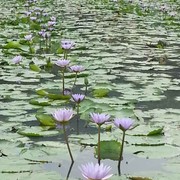 灿烂阳光ee海报