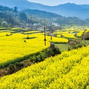 神马辉海报