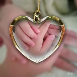 向往的生活！！主播照片