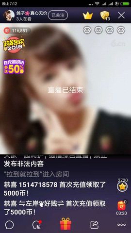 海鸽晚上见主播照片