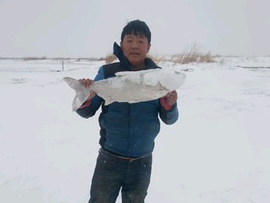 人生不如意常有主播照片