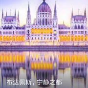 何新站