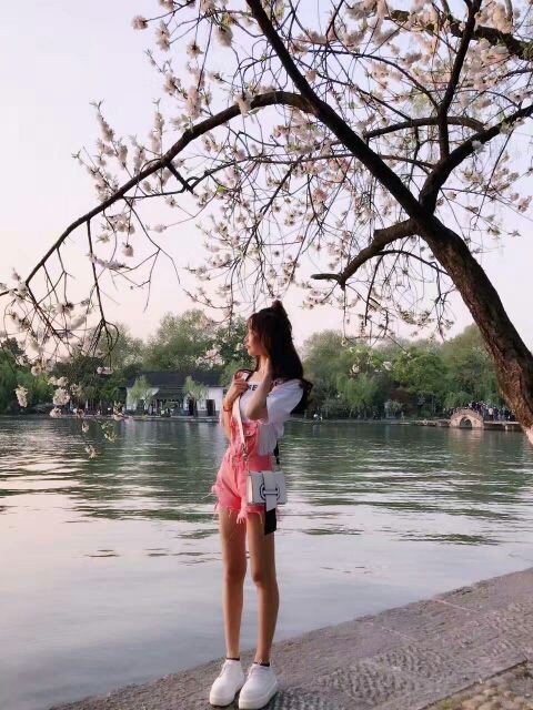 风中的风铃的图片