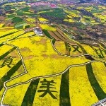 两汉＆三国