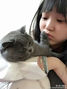 红力的故事？主播照片