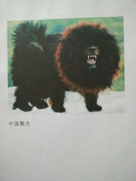 红力的故事？主播照片
