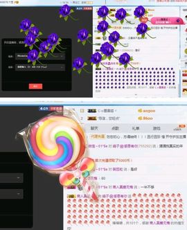 海鸽晚上见主播照片