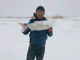 🐬♫河边☔歌☀的主播照片