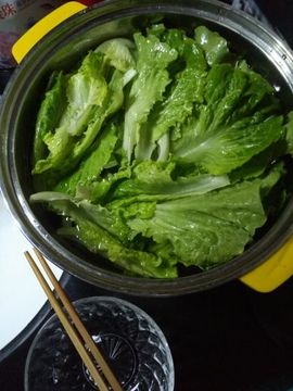 涛宝说句再见主播照片