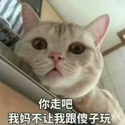 心静自然凉jh