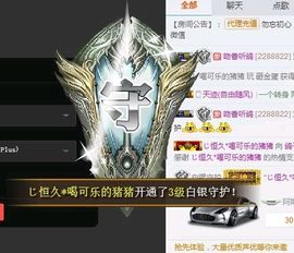海鸽晚上见主播照片