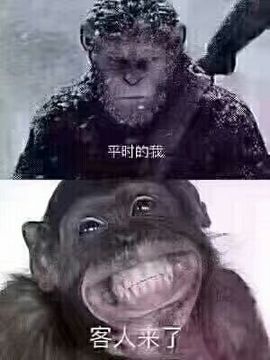 A亮宝充值代理主播照片