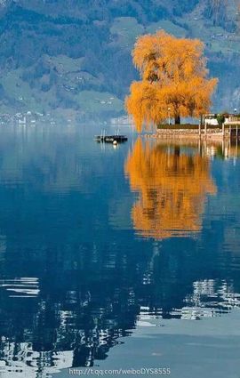 ♚浪tao哥主播照片